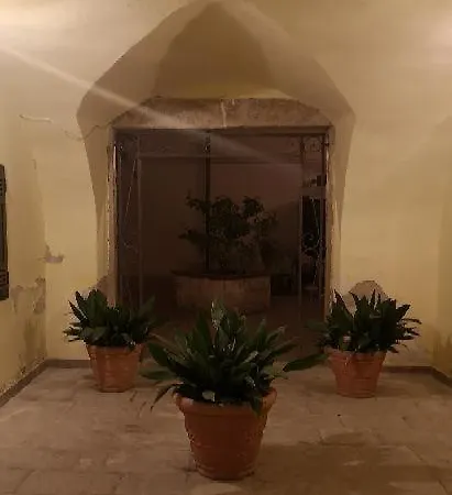 Les Maisons Coco טרני